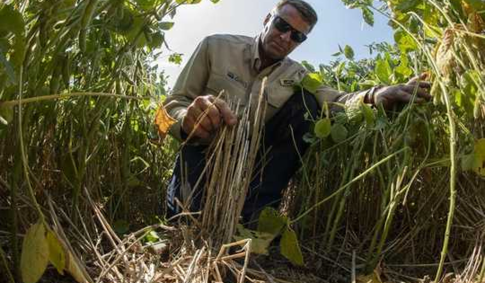 It's Time To Rethink The Disrupted Food System From The Ground Up