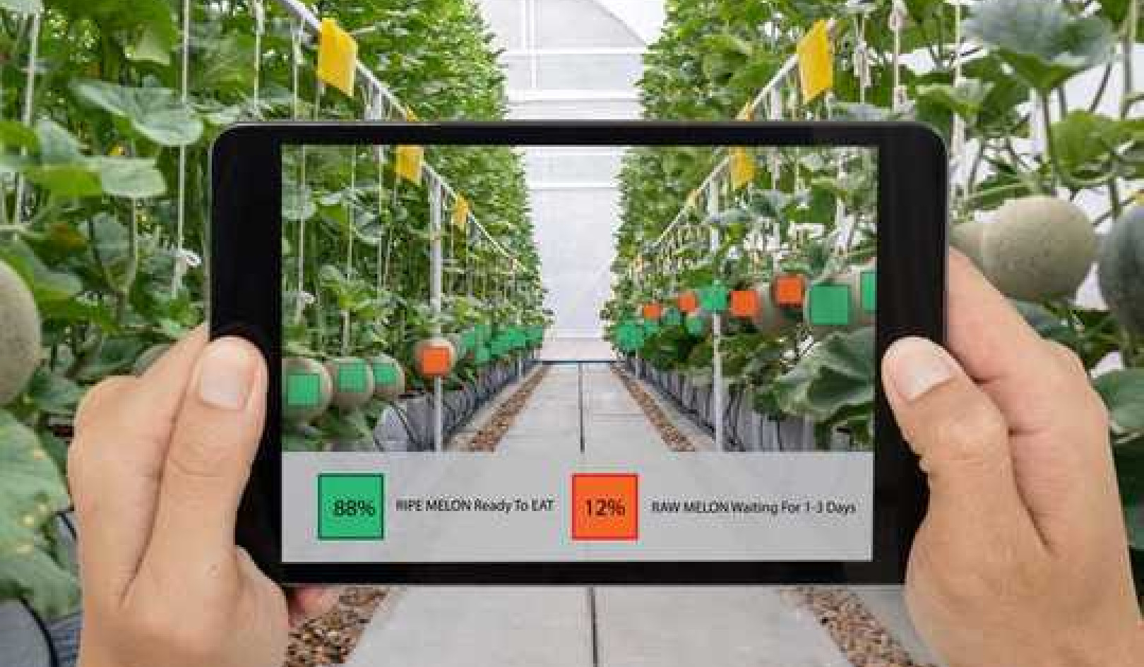 How Technology Is Transforming Farming