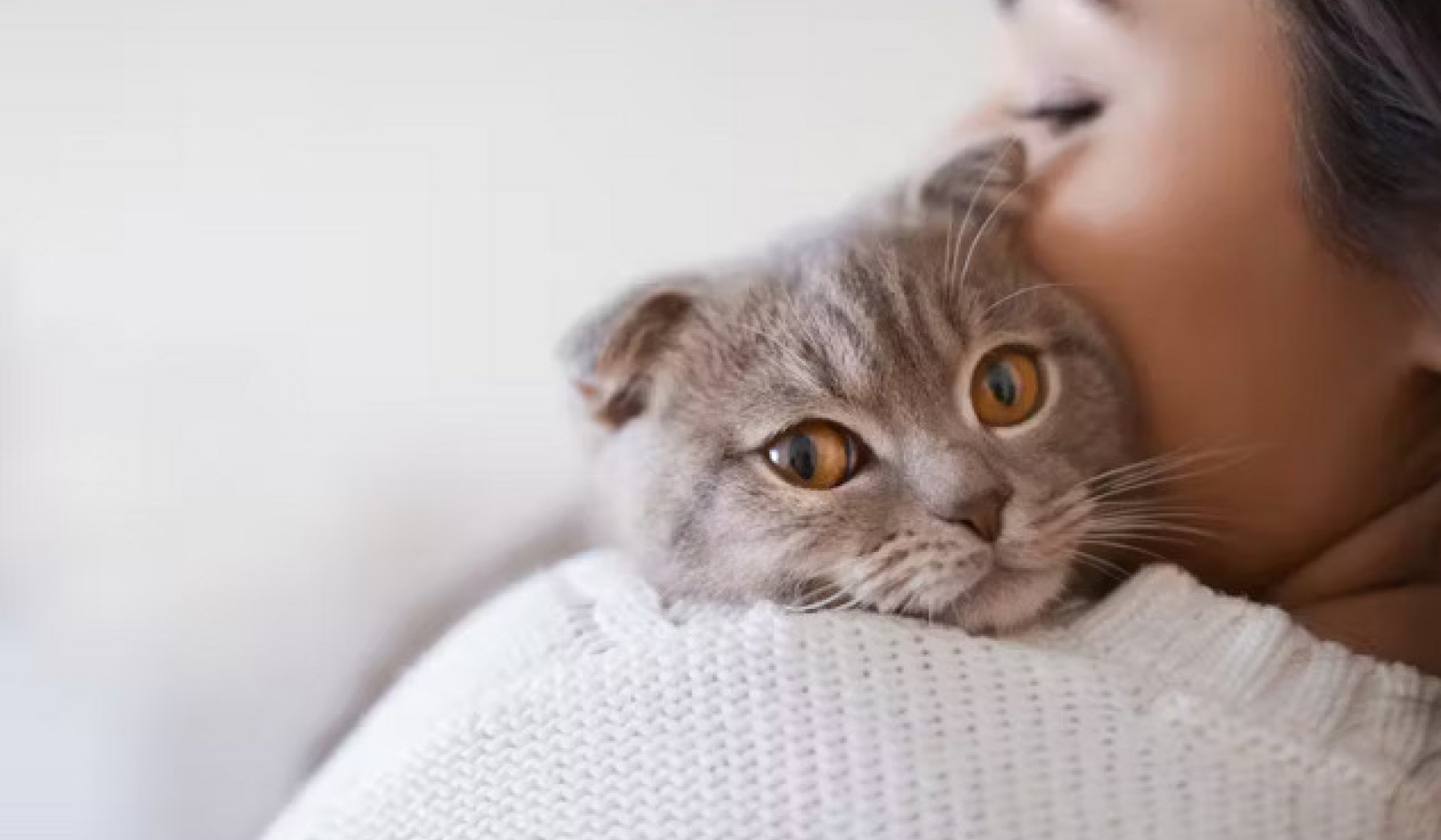 Why Cats Meow at Humans More Than Each Other