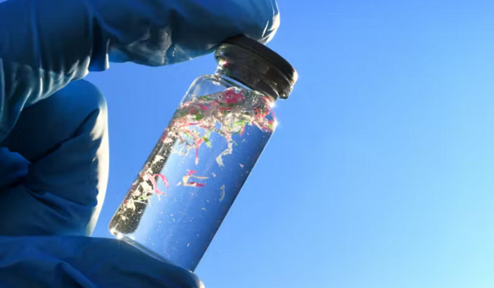 Microplastics in the Great Lakes: A Growing Environmental Crisis