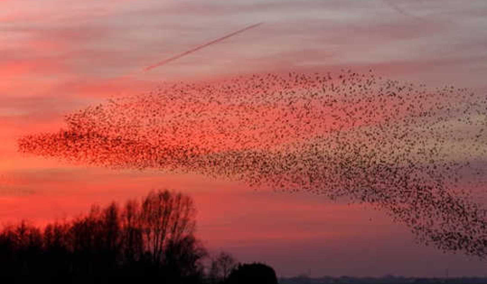 The Science Behind One Of Nature's Greatest Displays