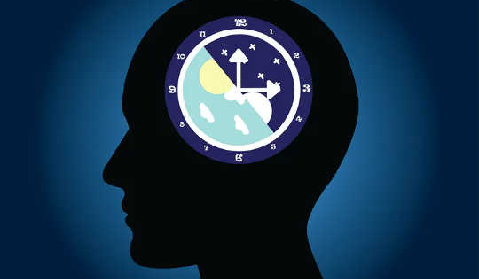 How This Circadian Rhythm Liver Gene Helps The Body Keep Working Smoothly After Late Nights And Midnight Snacks