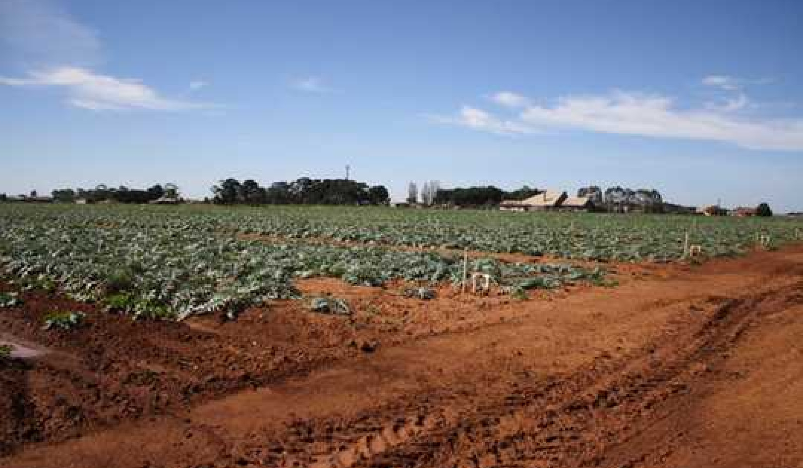 It Takes A Lot Of Water To Feed Us, But Recycled Water Could Help