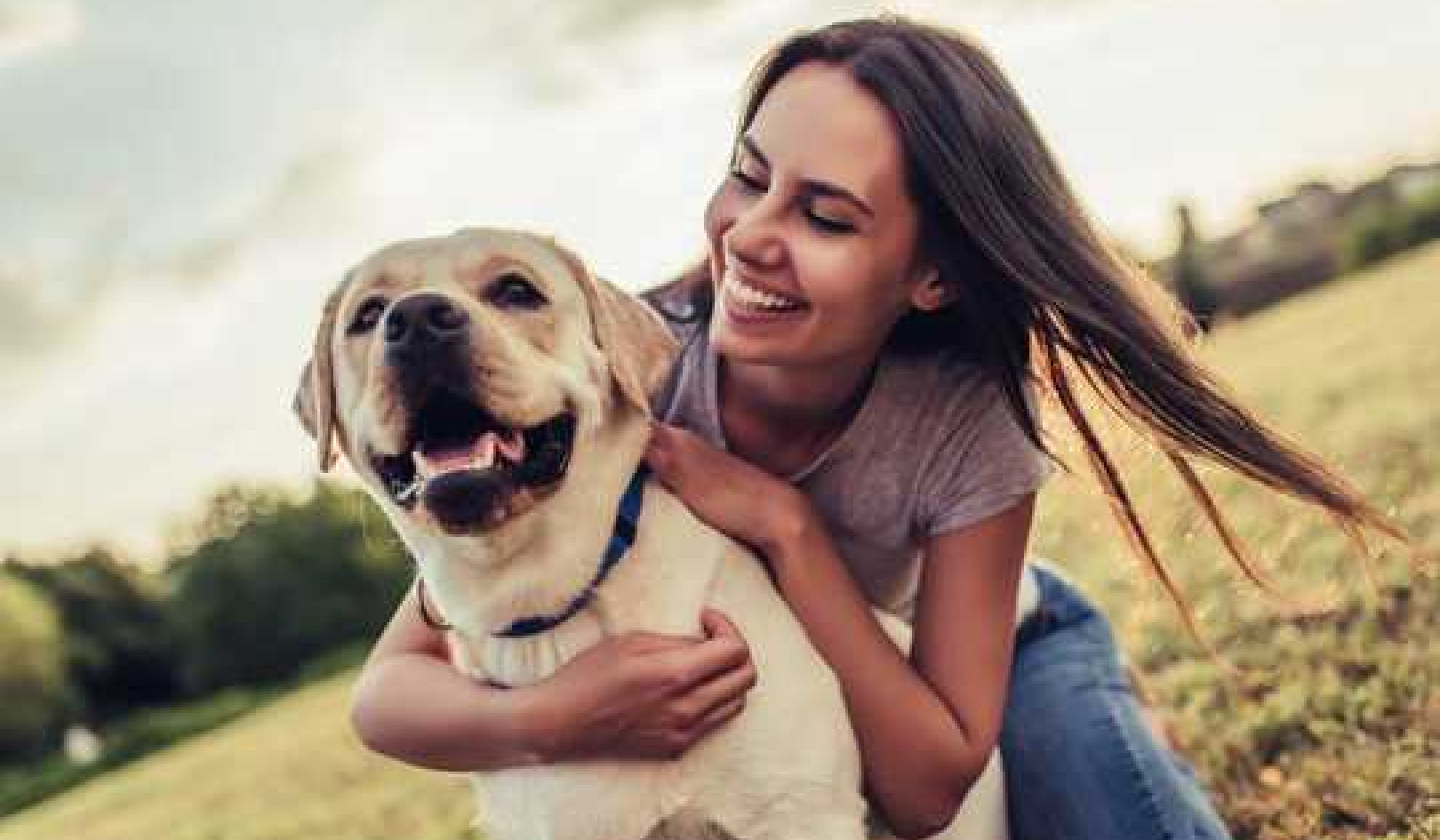 Dogs Really Can Chase Away Loneliness