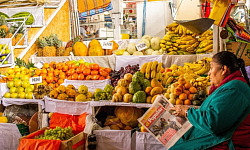 a photo of an outside market in South America