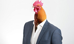 a man in a suit but with a rooster instead of a head and face