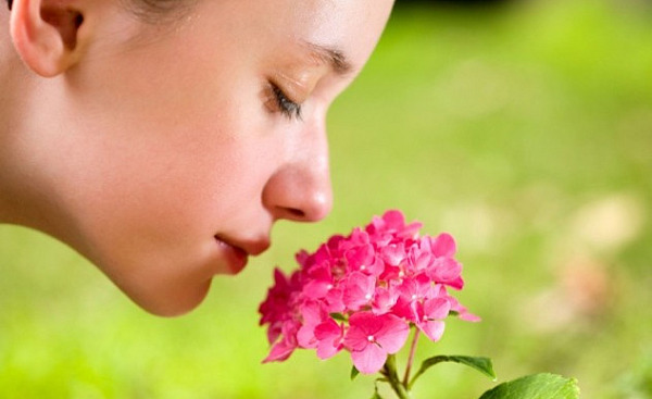 A close-up of a person gently holding a flower near their nose with eyes closed, symbolizing the sense of smell.