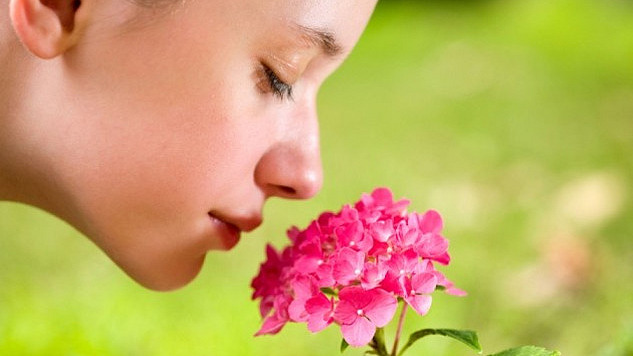 A close-up of a person gently holding a flower near their nose with eyes closed, symbolizing the sense of smell.