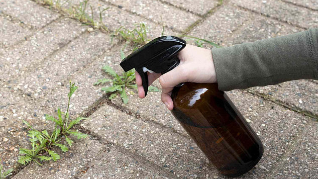 Natural methods to prevent weeds from growing in concrete cracks, including boiling water, vinegar, baking soda, and salt.