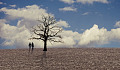 a man and woman holding hands in a barren field with a barren dried out tree