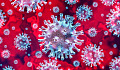 Colorful image of some corona viruses