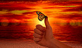 a hand with a butterfly sitting on the thumb in front of a vibrant sky