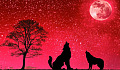 wolves howling at a full moon in a red sky background