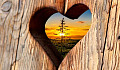 a knot in the shape of a heart in a piece of wood and allowing to see a tree in the distance through the open heart