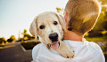 a young boy holding and hugging a dog